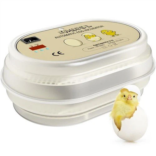 Digital Mini Fully Automatic Egg Incubator 9-12 Eggs